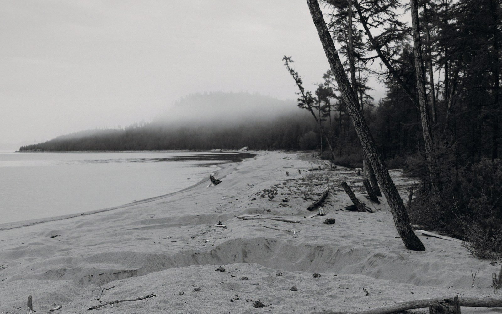 Sea fog rolling across a low ridge above marshland